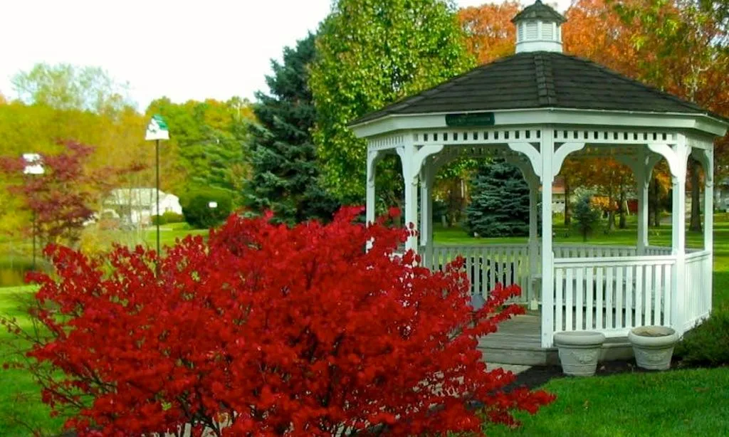 Cedar Glen Lakes