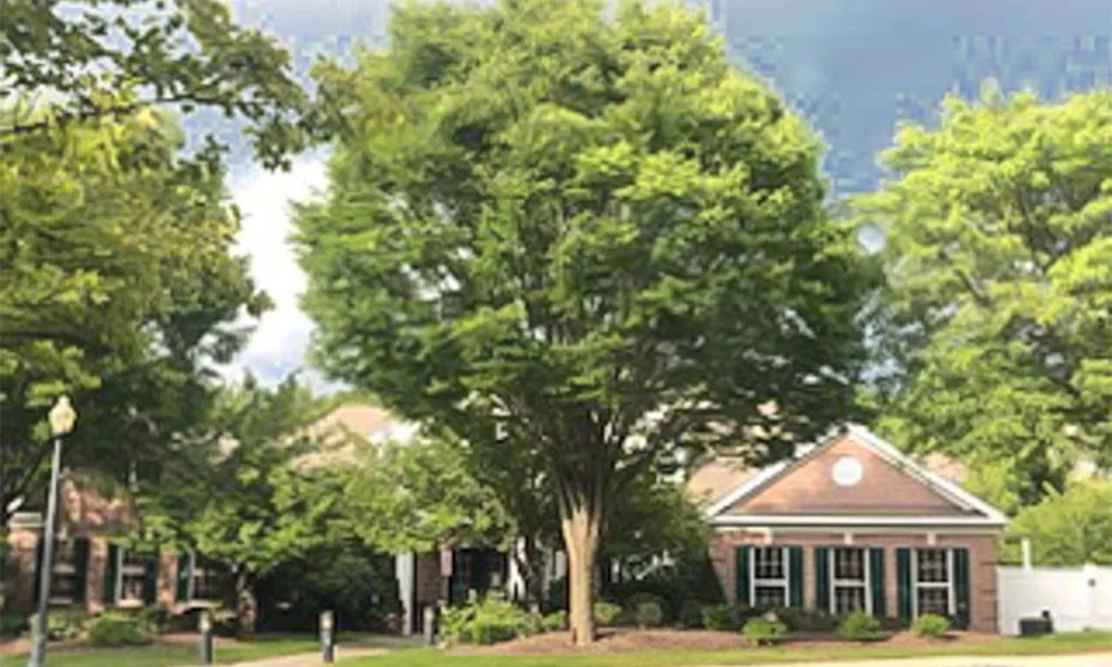 Four Seasons at Wayne