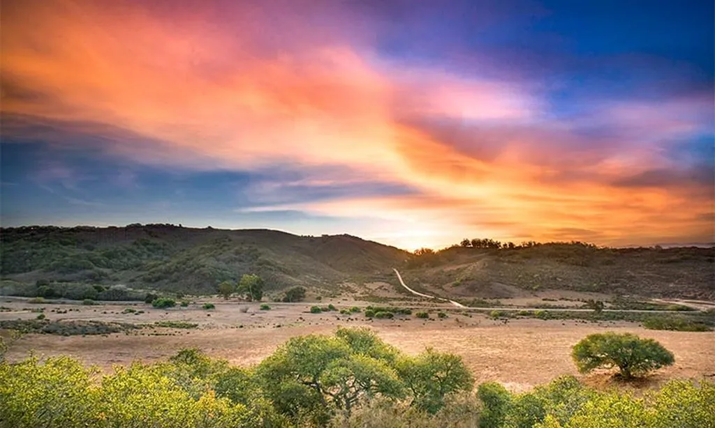 Rice Ranch