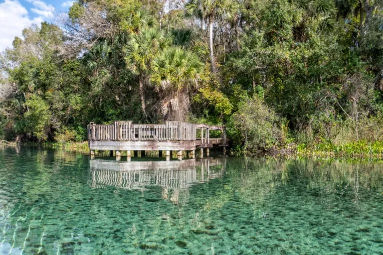 Is Ocala, Florida, the Right Retirement Destination for You?