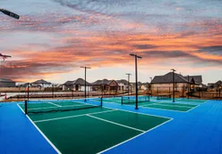 Pickleball Court