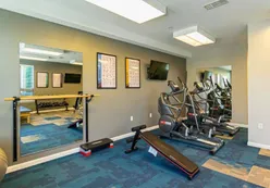 Fitness Equipment