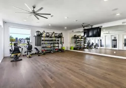 Movement Studio