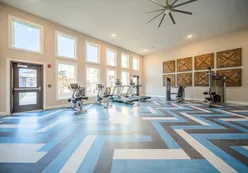 Wellness and Fitness Studio