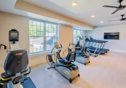 Fitness