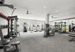 Fitness Equipment