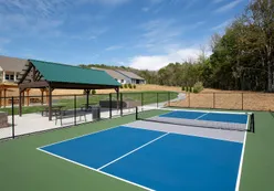 Pickleball Court