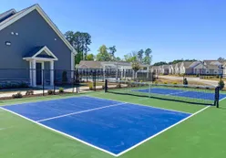 Pickleball Court