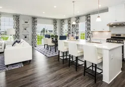 Kitchen and Living Room
