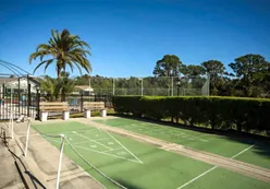 Shuffleboard