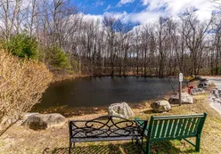 Pond