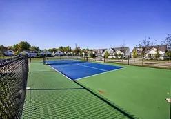 Pickleball Courts
