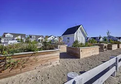 Community Garden