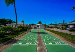 Shuffleboard