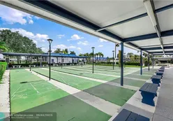 Shuffleboard