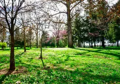 Grounds