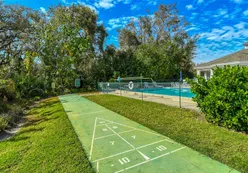 Shuffleboard