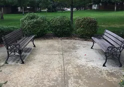 Sidewalks with Benches
