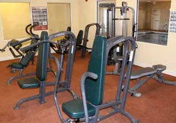 Weight machines and free weights