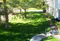 Well-Maintained Lawns