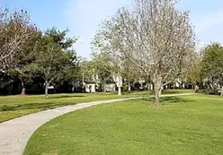 Walking Trail