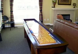 Shuffleboard