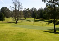 Practice Putting Green