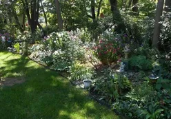 Scenic Walking Paths
