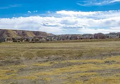 Expansive Natural Space