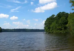 Lake Benson