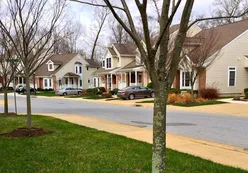 Tree-Lined Streets