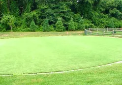 Putting Green