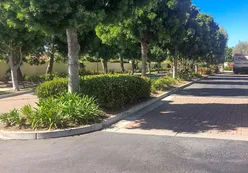 Single-Family & Attached Homes
