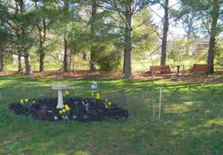 Parks & Natural Space