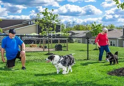 Dog Park