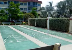 3 Shuffleboard Courts