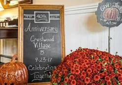 Events and Activities