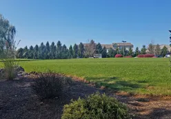 Lush Landscaping