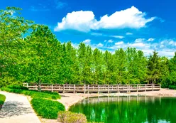 Bridge Path