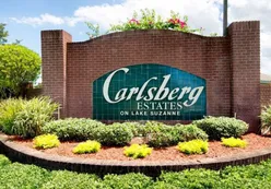 Carlsberg Estates on Lake Suzanne - Lake Wales, FL