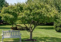 Parks & Natural Space