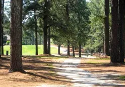 Wooded Trails