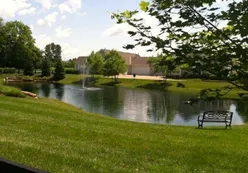Scenic Ponds