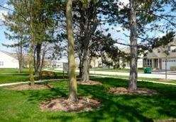 Walking & Biking Trails