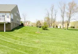 Manicured Landscapes