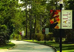 Tree-Lined Streets
