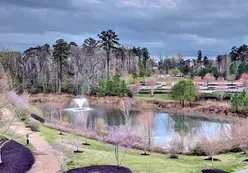 Scenic Ponds & Natural Spaces