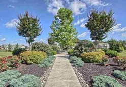 Scenic Walking Trail