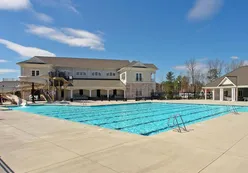 Outdoor Pool and Patio