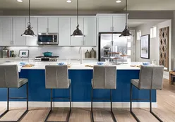 Model Kitchen